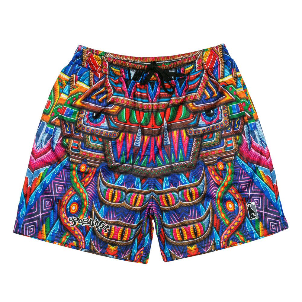 Chris Dyer Freesponsable Rainbow Mesh Shorts