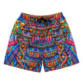 Chris Dyer Freesponsable Rainbow Mesh Shorts