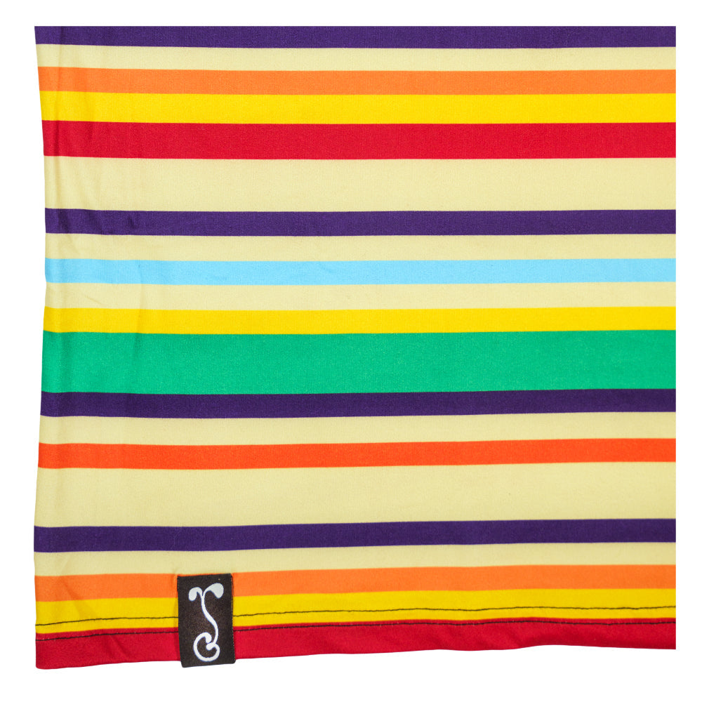 Dia De Los Muertos Sugar Skull Striped T Shirt