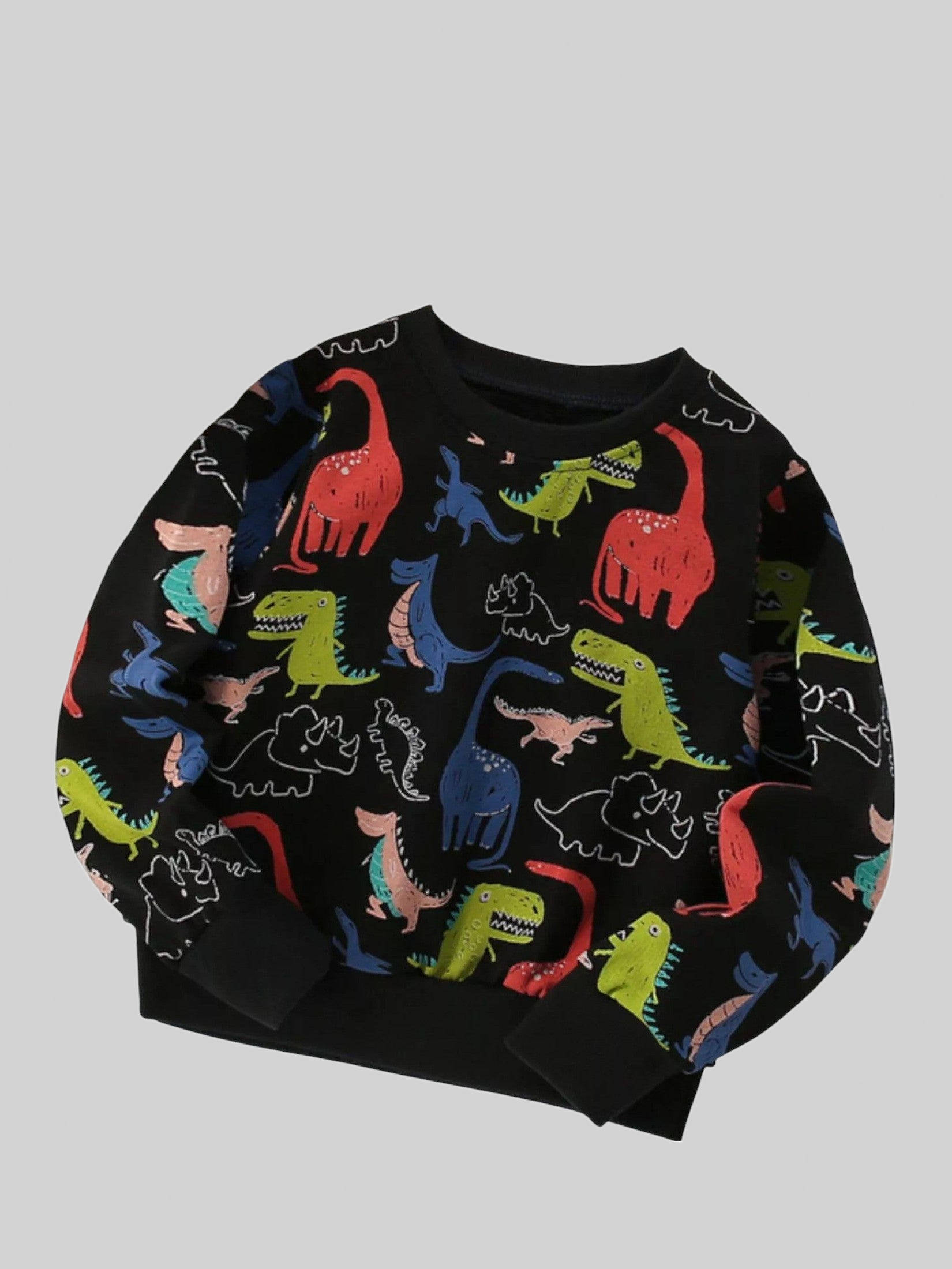 Toddler Boys Dinosaur Print Crew Neck Sweatshirt