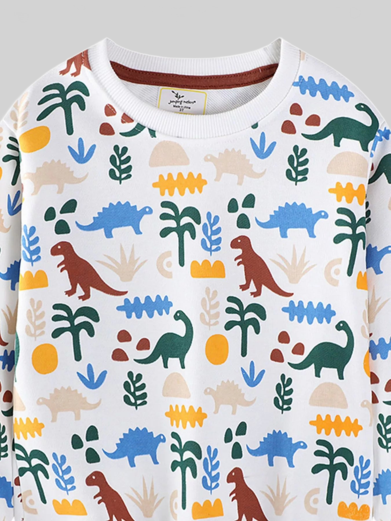 Toddler Boys Dinosaur Print Crew Neck Sweatshirt