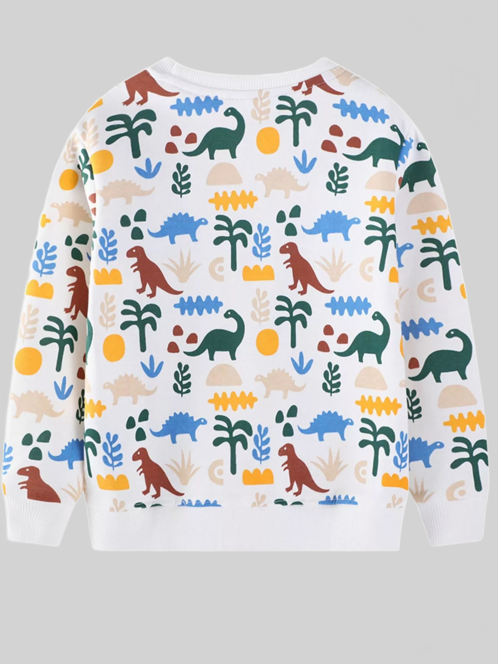 Toddler Boys Dinosaur Print Crew Neck Sweatshirt